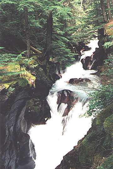 rapids