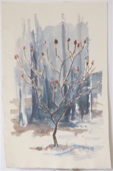 WinterSumac.JPG