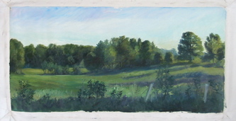 SunnyField.JPG
