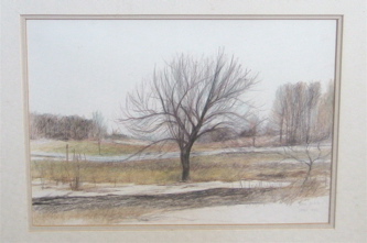 WinterTree.JPG