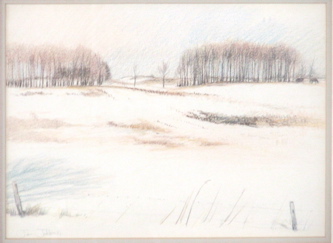 WinterField.JPG