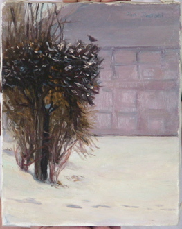 SnowFootprints.JPG